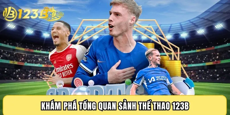 Khám phá tổng quan sảnh thể thao 123B